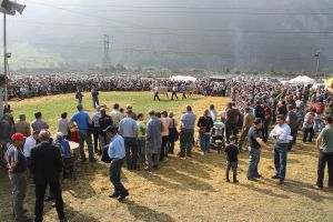 141004Altdorf 071